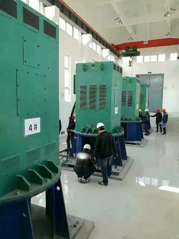 中沙某污水处理厂使用我厂的立式高压电机安装现场